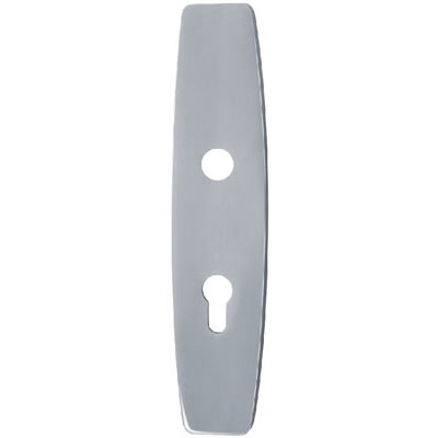 Stainless Steel Handle Plate